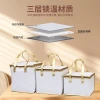 In-stock cake insulation bags, thickened seafood preservation and refrigeration aluminum foil non-woven fabric, takeout hot pot and barbecue insulation bags details Picture